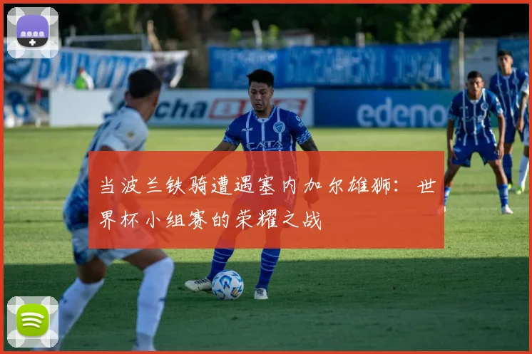 当波兰铁骑遭遇塞内加尔雄狮：世界杯小组赛的荣耀之战