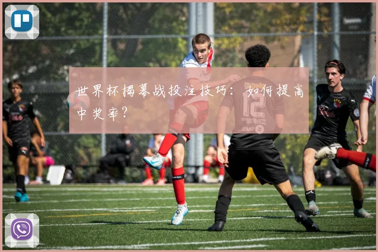 世界杯揭幕战投注技巧：如何提高中奖率？