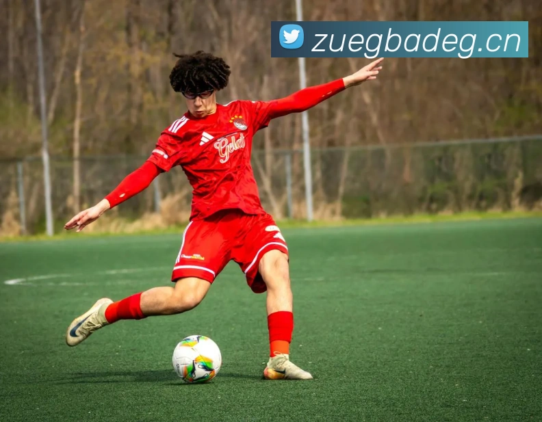 爱游戏体育 最新官网平台生态图